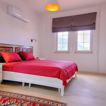 Luxury With Private Pool And Large Garden In Dalyan *